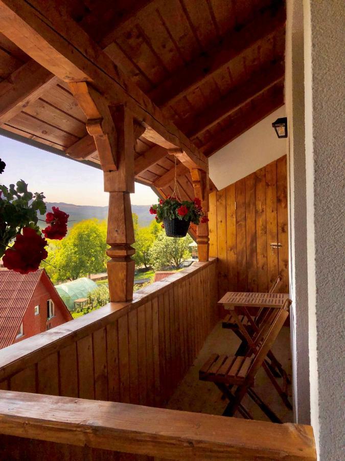 Pensiunea Roca Maramures Desesti Bagian luar foto