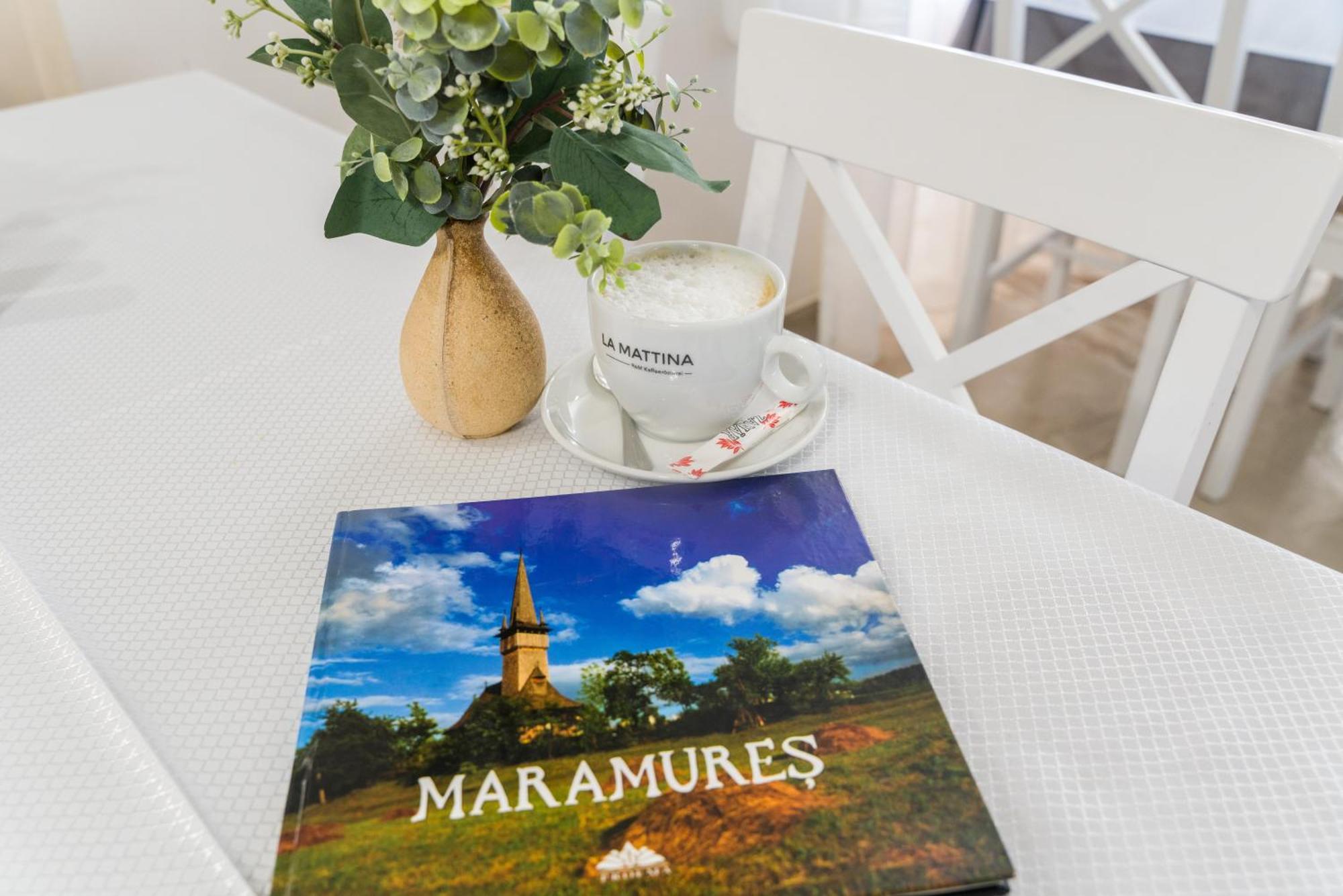 Pensiunea Roca Maramures Desesti Bagian luar foto
